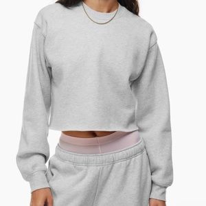 Aritzia TNA Cropped Cozy Fleece Crewneck Sweatshirt